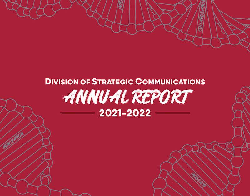 DSC Annual Report Cover 2021-2022